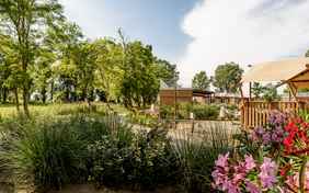 Der grüne Garten - Foto: Bethel Fath